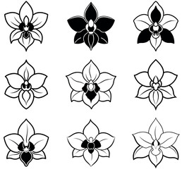 Set of Black and White Orchid Flower Illustrations, Minimalist Floral Design