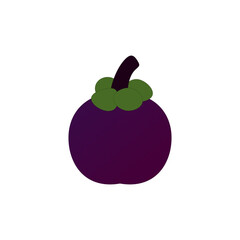 icon of fresh purple mangosteen fruit