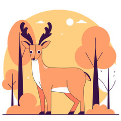 kangaroo in the woods