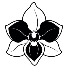 Elegant Black and White Orchid Silhouette