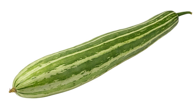 Snake gourd isolated on a transparent background