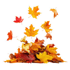 Falling In Heap Of Autumn leaves  isolated on a transparent background