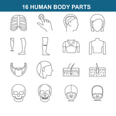 human body parts line art icon. full editable design 