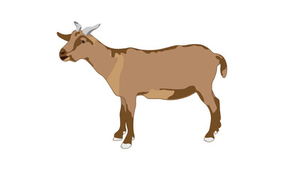 A Brown Goat Vector Illustration Isolated on a White Background.