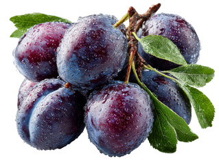Freshly harvested plums orchard food photography outdoor close-up. Isolated on transparent background, png.