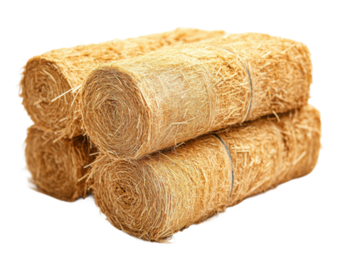 Agricultural content on harvesting straw bales in rural areas. Isolated on transparent background, png.