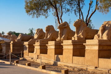 Karnak Temple in Luxor, Egypt. Entrance and Avenue of Sphinxes. Temple complex of Ancient Egypt in honor of the god Amun-Ra
