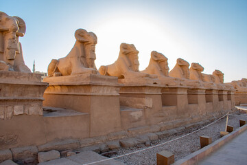 Karnak Temple in Luxor, Egypt. Entrance and Avenue of Sphinxes. Temple complex of Ancient Egypt in honor of the god Amun-Ra