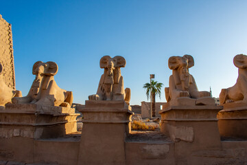 Karnak Temple in Luxor, Egypt. Entrance and Avenue of Sphinxes. Temple complex of Ancient Egypt in honor of the god Amun-Ra