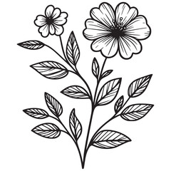 This is an illustration of flowers in a simple and modern line art style.