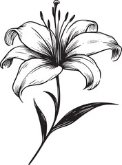 Obraz premium This is an illustration of flowers in a simple and modern line art style.