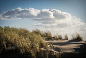 somwere at the Beach