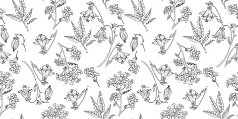 Minimalist Seamless Floral Pattern. A sophisticated and modern seamless vector pattern in a minimalist style, featuring delicate floral motifs with clean lines and a soft color palette. 