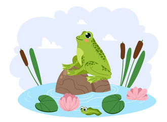 Frog character sitting in swamp nature water composition isolated concept. Vector graphic design illustration