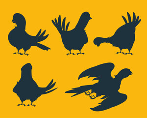Bird silhouette decorative shadow isolated set. Vector flat graphic design illustration