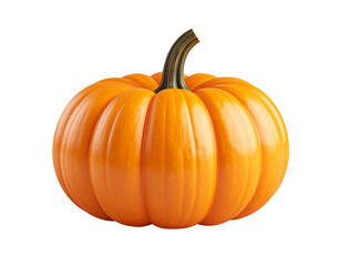 Fototapeta premium Isolated on a white background, this orange pumpkin is a seasonal autumn vegetable