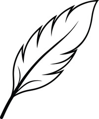 Obraz premium feather vector illustration
