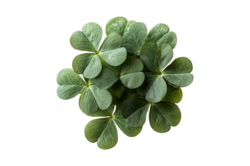 Green shamrocks clover leaf isolated on transparent background
