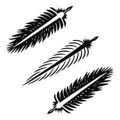 Three black feathers graphic illustration decorative elements design on white background.