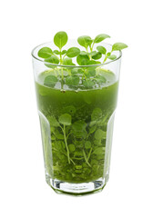 Glass filled with green liquid with plant sprouts sticking out of the top of the glass