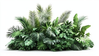 Lush tropical foliage cluster (1)