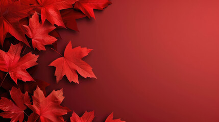 Victoria Day in Canada, red maple leaves, autumn red background, minimalism, horizontal banner, copy space, free space for text