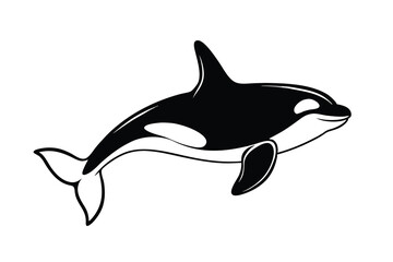 dolphin vector illustration