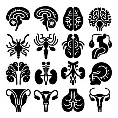Human anatomy icons detailed medical illustrations perfect for educational purposes or medical designs