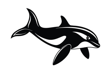 dolphin isolated on white