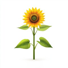 Obraz premium A bright yellow sunflower with green leaves stands against a plain white background.