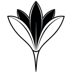 Elegant Black and White Floral Design