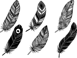 Decorative feather icons set. Hand-drawn feathers. Bird feather poster, banner designing for media and web. Trust, Honor, strength, wisdom, power, and freedom symbols. © Shabana