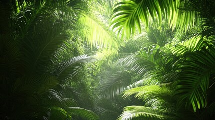 Lush Green Jungle Canopy