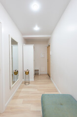 Bright and Minimalistic Hallway Interior with Modern Furniture Design