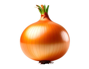 Fresh, ripe yellow onion bulb, a healthy and organic vegetable, isolated whole on white