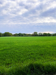 A wide open green meadow under a partly cloudy sky on a calm spring day