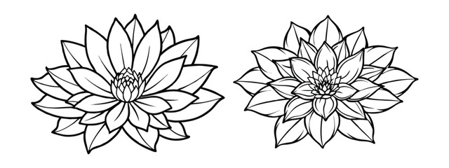 Obraz premium Black and White Botanical Illustration for Coloring Book or Yoga Logo On White Background