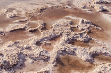 Natural Salt Crust Surface Pattern On Salty Lake Texture With Mineral Deposits And Shallow Water good background.