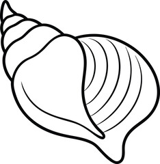 vector illustration of a seashell