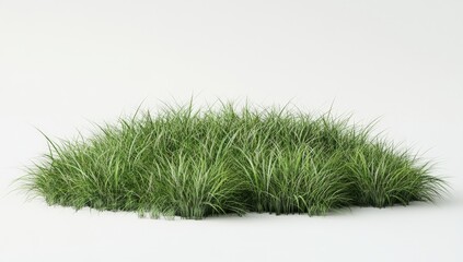 Lush green clump of grass
