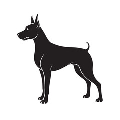 Doberman Standing Alert And Guarding Silhouette