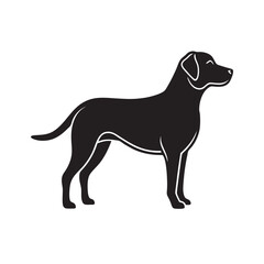 Labrador Retriever In Guard Pose Silhouette