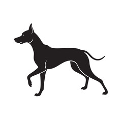 Great Dane Frolicking In Open Field Silhouette