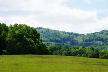 Obraz premium Panorama na góry i las