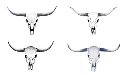 Vintage Bull Skull with Large Horns