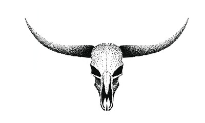 Fototapeta premium Curved Horn Bull Skull Vector Art