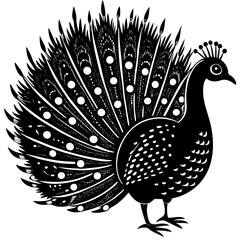 peacock vector illustration