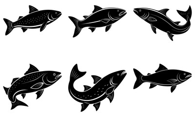 Fototapeta premium Salmon Silhouette vector illustration