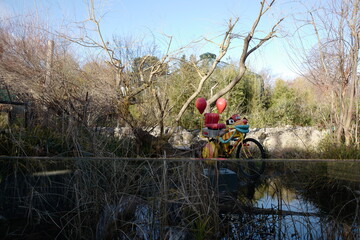 Obraz premium Colorful bicycle with balloons in a serene overgrown garden under a clear blue sky surrounded by nature’s beauty