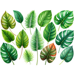  Elegant Tropical Leaf Set – Hand-Selected Jungle Foliage Isolated PNG